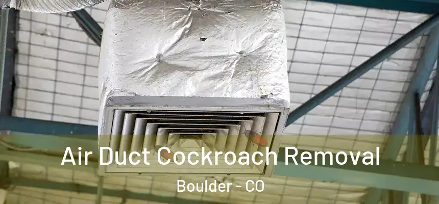 Air Duct Cockroach Removal Boulder - CO