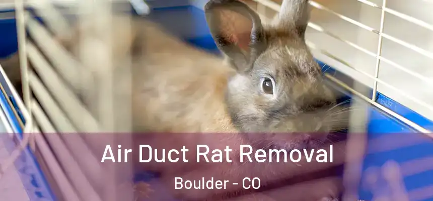Air Duct Rat Removal Boulder - CO