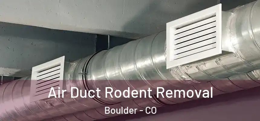 Air Duct Rodent Removal Boulder - CO
