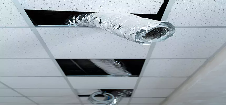 Our Air Duct Pet Hair Removal Services in Boulder, CO