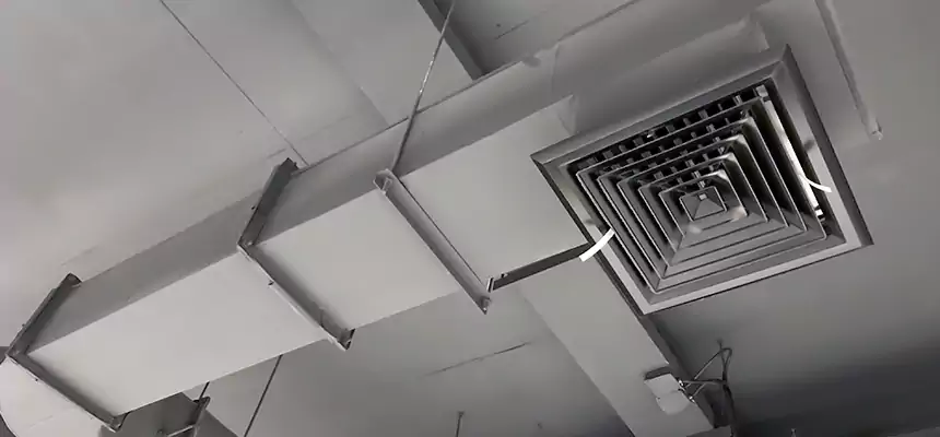 Our Pest Removal From Ducts Services in Boulder, CO