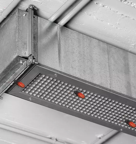 About Air Duct Cockroach Removal in Boulder, CO