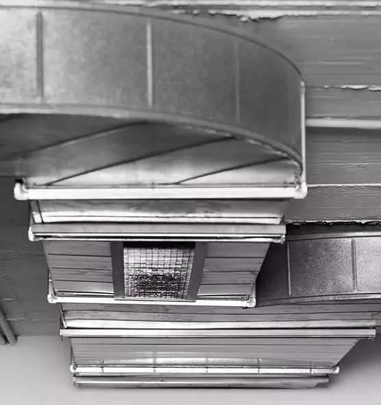 Professional Air Duct Pest Removal in Boulder, CO