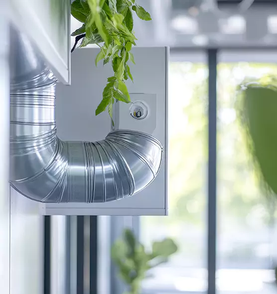 Professional Eco-Safe Dryer Vent Cleaning in Boulder, CO