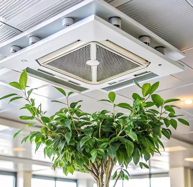 Why Homeowners & Businesses Trust Us in Boulder, CO