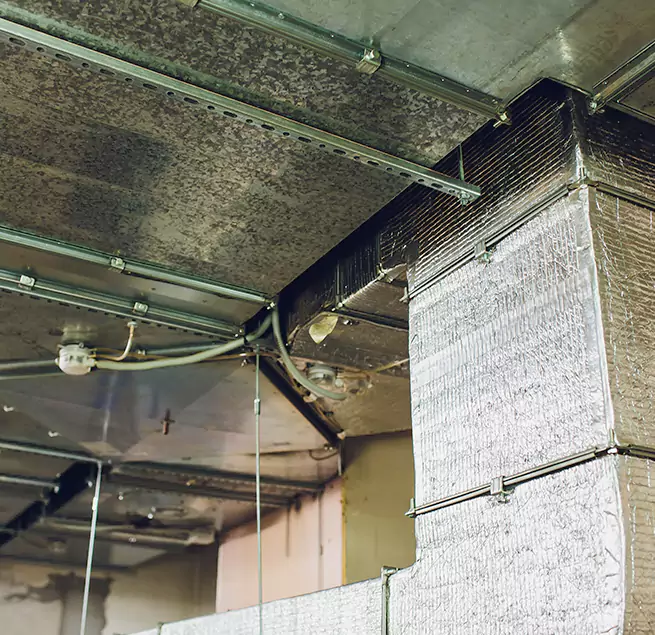 Why Homeowners & Businesses Trust Us in Boulder, CO?